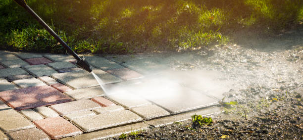 Best Spring Cleaning  in Thornton, IL